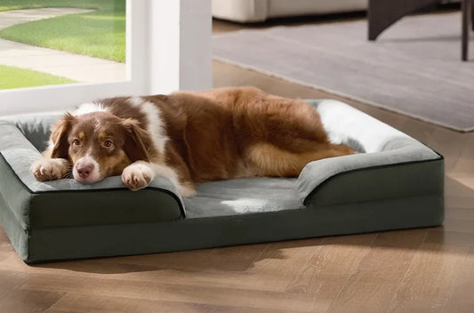 Le Sofa Douillet Sleepy Buddy