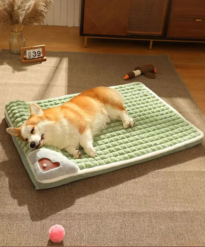 Le Tapis Sieste Sleepy Buddy — matelas déhoussable avec coussin pour chien
