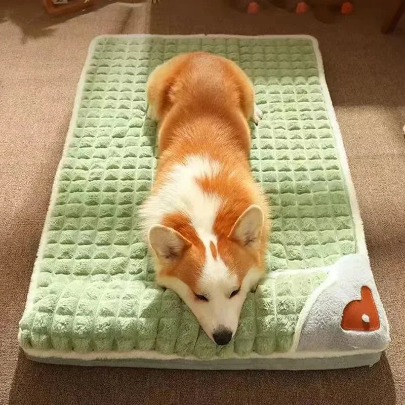Le Tapis Sieste Sleepy Buddy — matelas déhoussable avec coussin pour chien