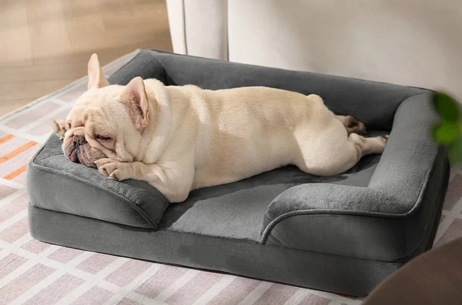 Le Sofa Douillet Sleepy Buddy
