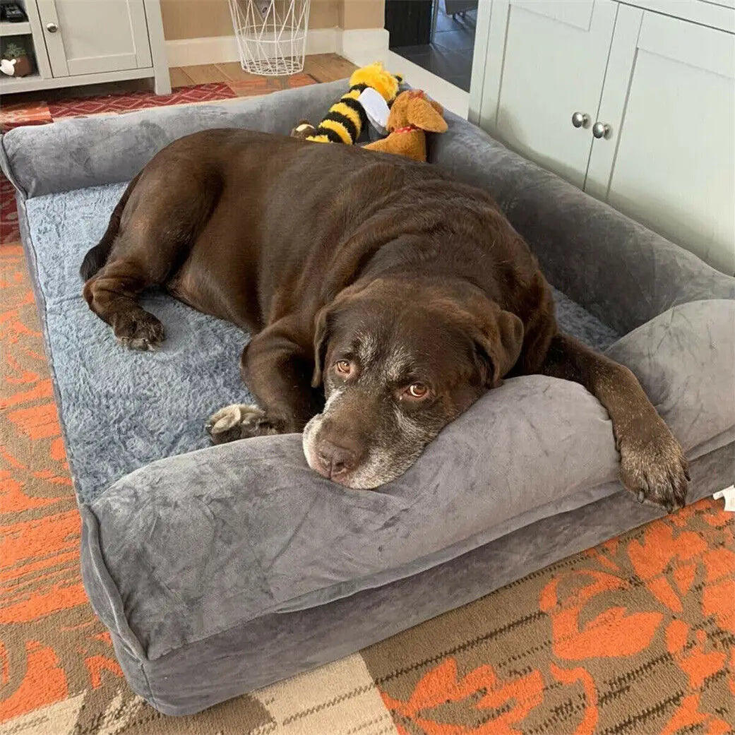 Le Refuge Sleepy Buddy — lit orthopédique à rebords pour grand chien