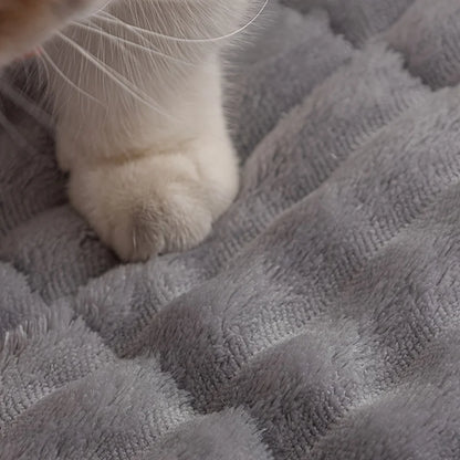 Le Tapis Voyage Sleepy Buddy — tapis de banquette et de coffre