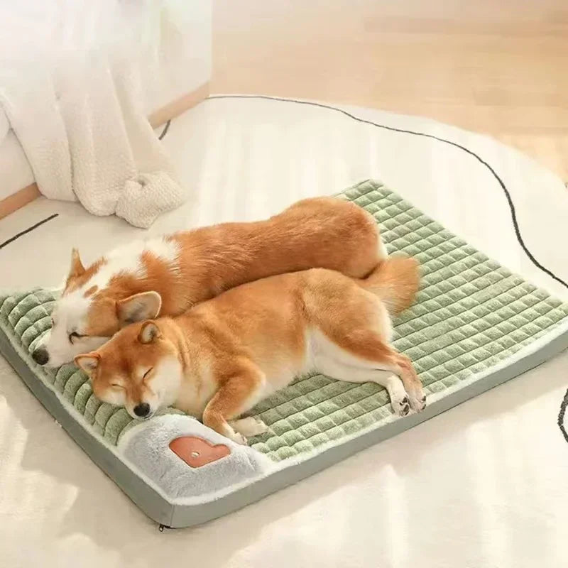 Le Tapis Sieste Sleepy Buddy — matelas déhoussable avec coussin pour chien