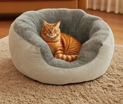 Le Nid Câlin