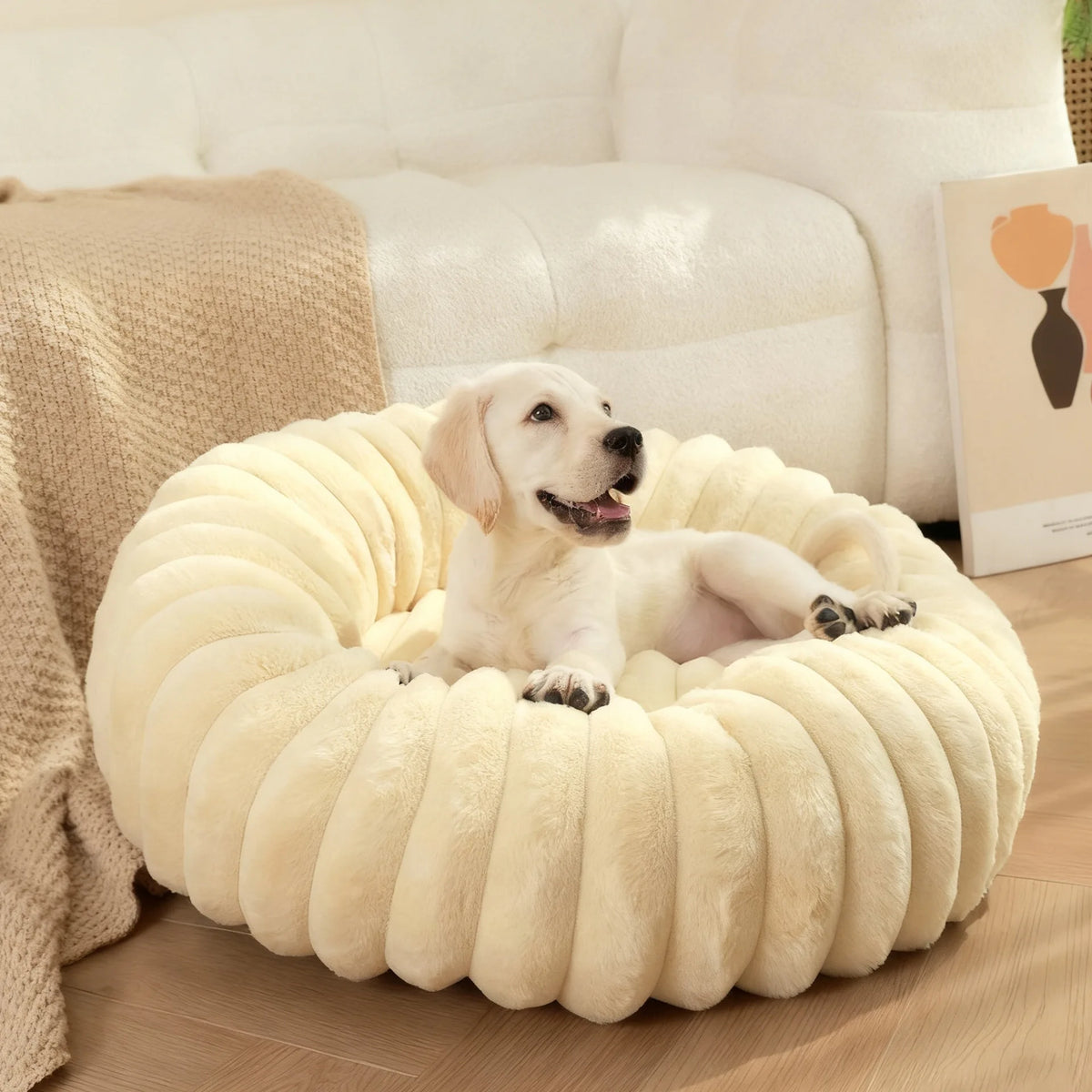 Chien allongé dans son Donut Sleepy Buddy