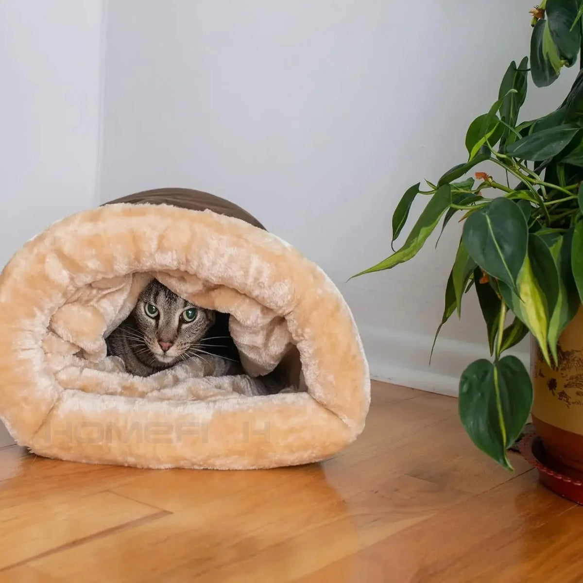 Chat blotti dans le Sac de Couchage Sleepy Buddy