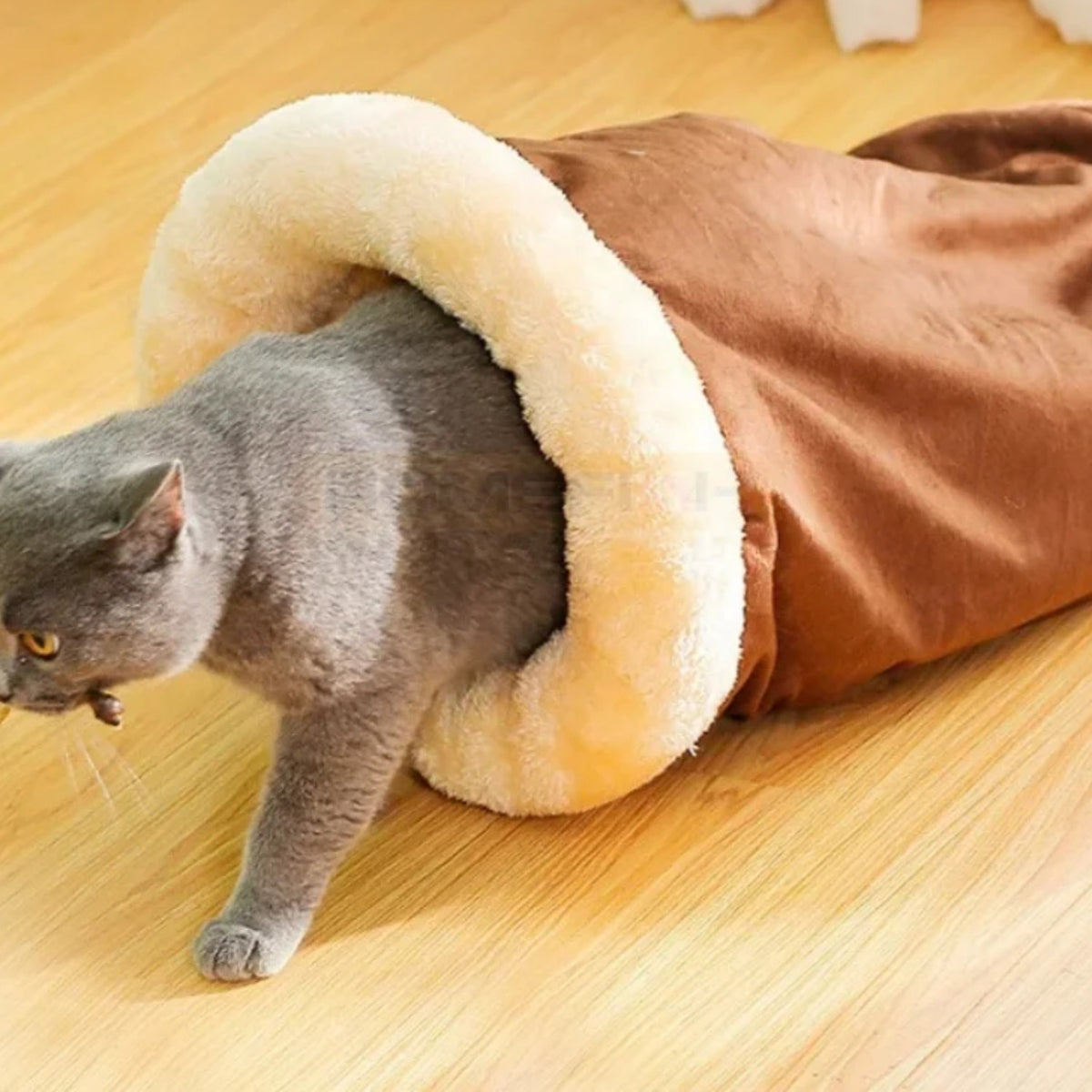 Chat sortant du Sac de Couchage Sleepy Buddy marron