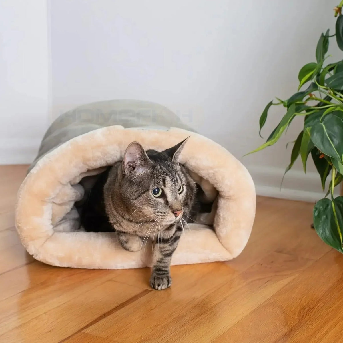 Chat installé dans le Sac de Couchage Sleepy Buddy